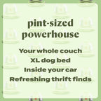BISSELL Little Green Mini cleaning a couch, dog bed and car interior