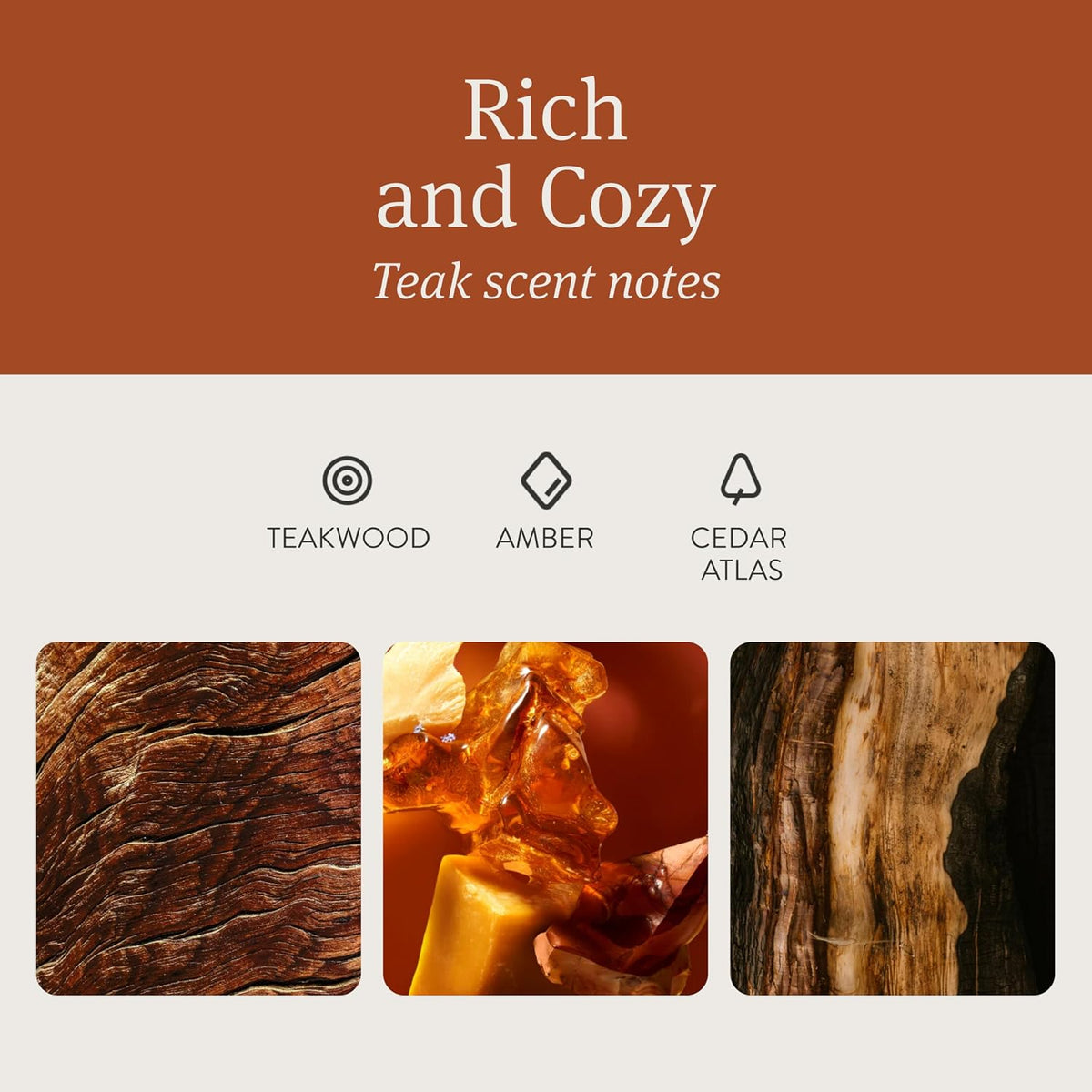 Drift Rich and Cozy teak scent notes